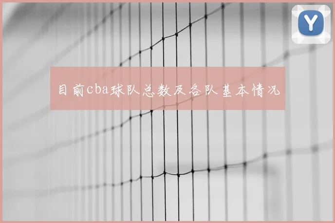 目前cba球队总数及各队基本情况