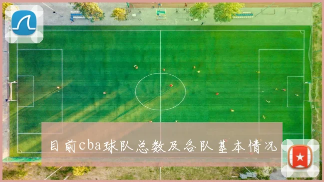 目前cba球队总数及各队基本情况