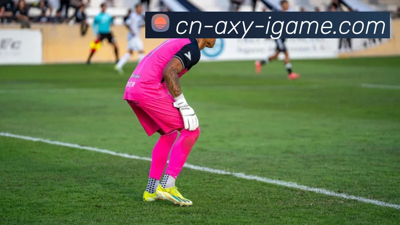 爱游戏全站App 爱游戏全站App